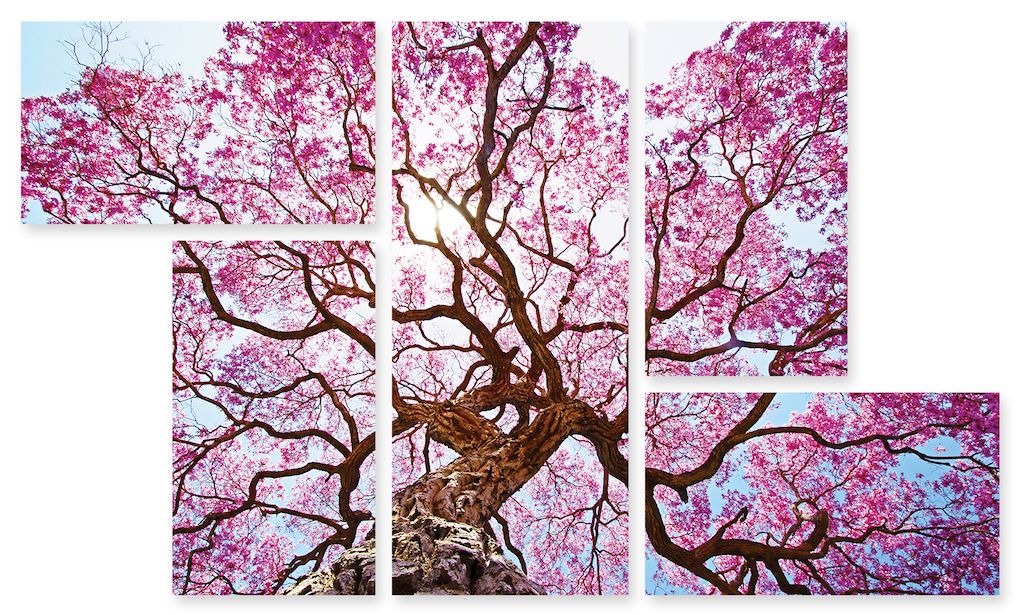 Модульная картина "Розовое дерево" интернен-магазин Мнекартину