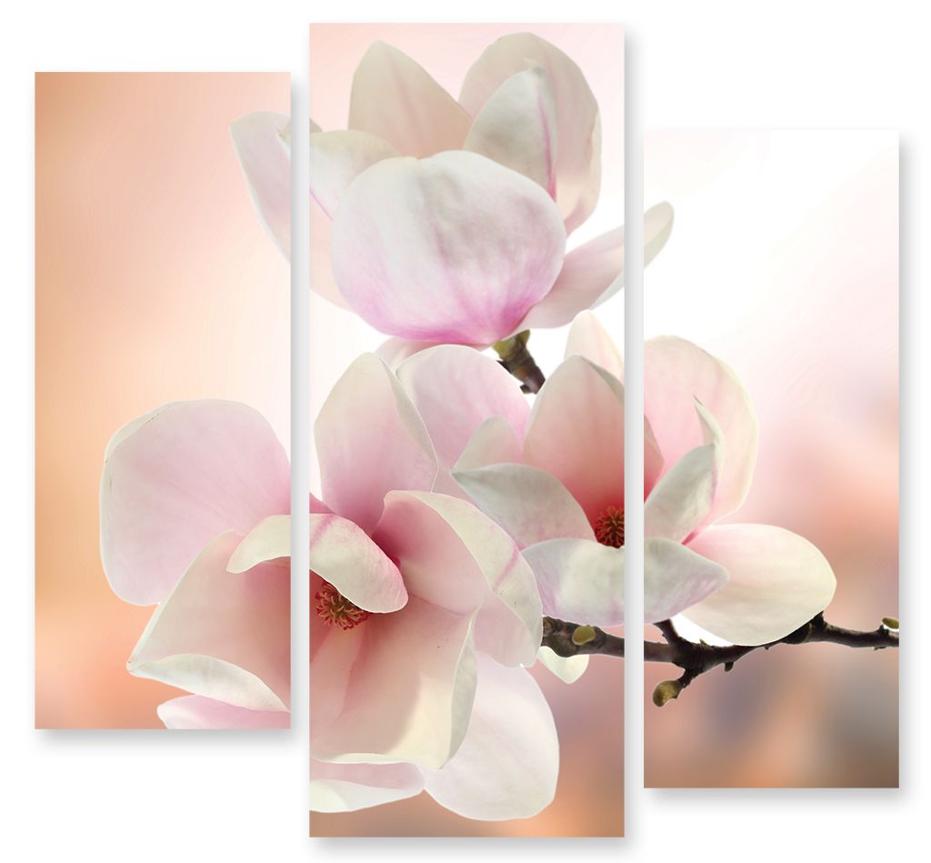 Модульная картина "Весенние цветы" интернен-магазин Мнекартину