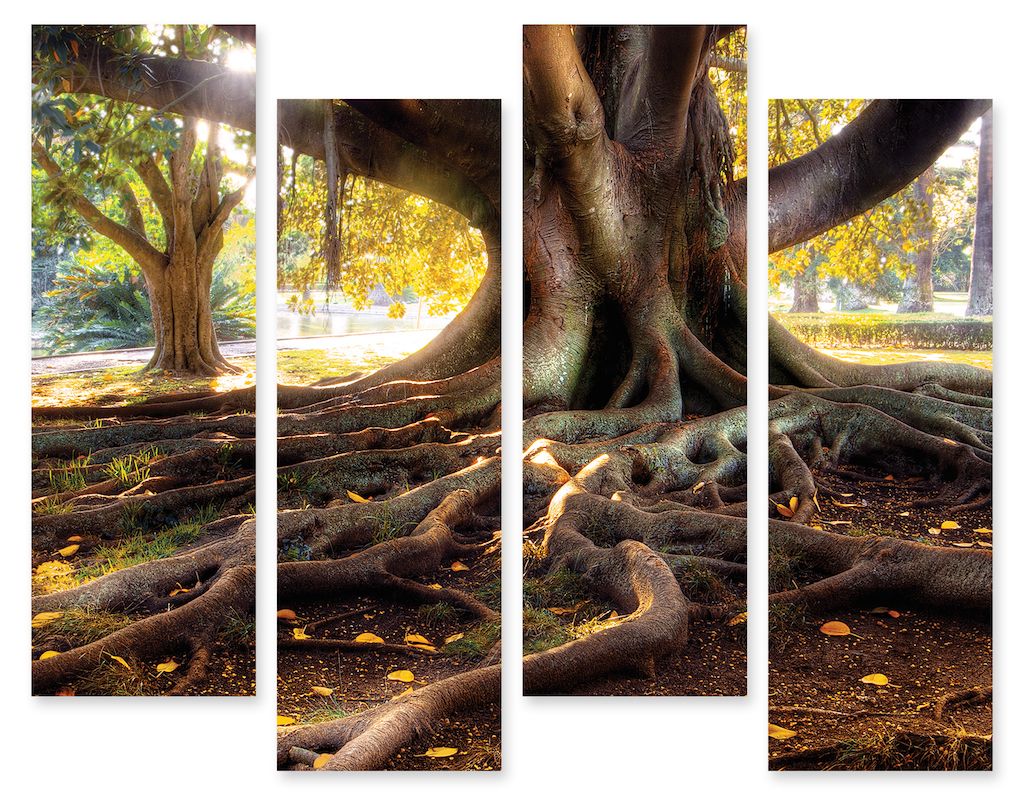 Модульная картина "Корни дерева" интернен-магазин Мнекартину