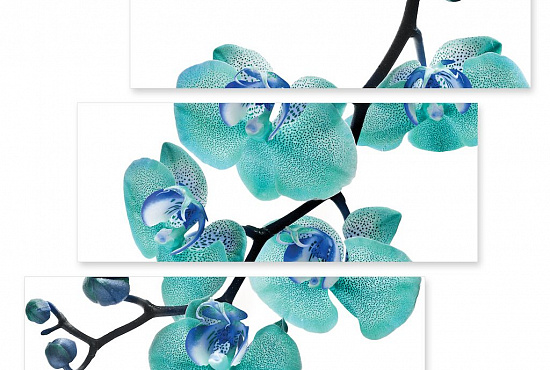 Модульная картина "Бирюзовая орхидея" интернен-магазин Мнекартину