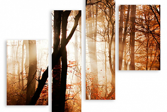 Модульная картина "Осенний лес" интернен-магазин Мнекартину
