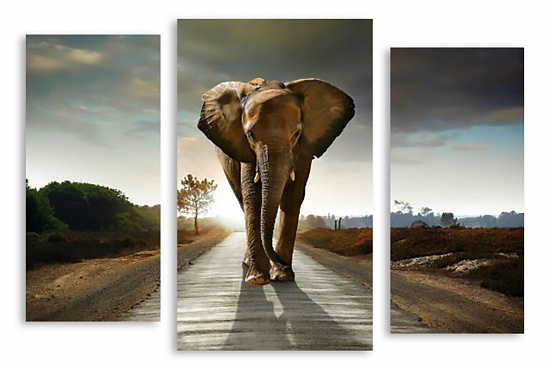 Модульная картина "Слон на дороге" интернен-магазин Мнекартину