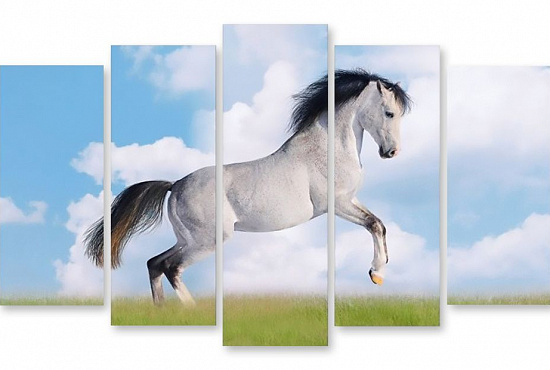 Модульная картина "Белая лошадь" интернен-магазин Мнекартину