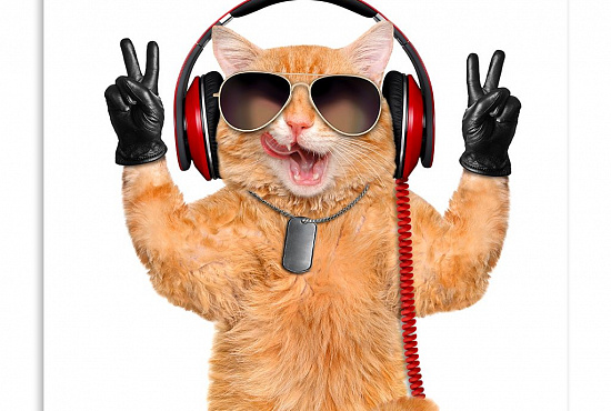 Постер "Поющий кот" интернен-магазин Мнекартину