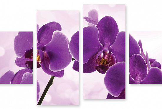 Модульная картина "Орхидеи" интернен-магазин Мнекартину