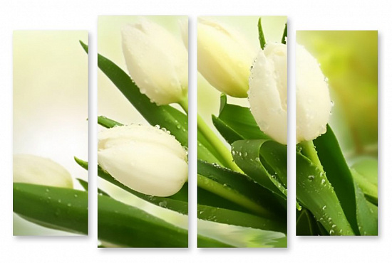 Модульная картина "Белые тюльпаны" интернен-магазин Мнекартину