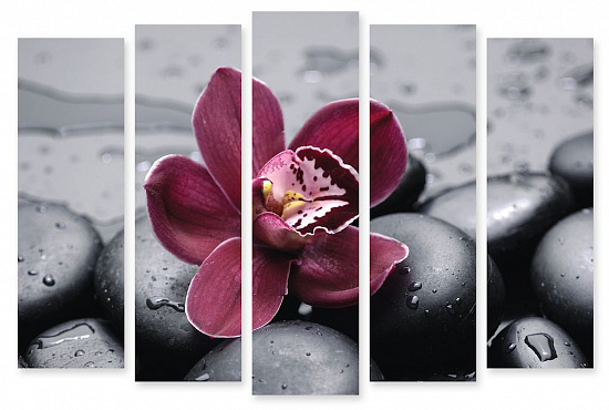 Модульная картина Бордовая орхидея" интернен-магазин Мнекартину
