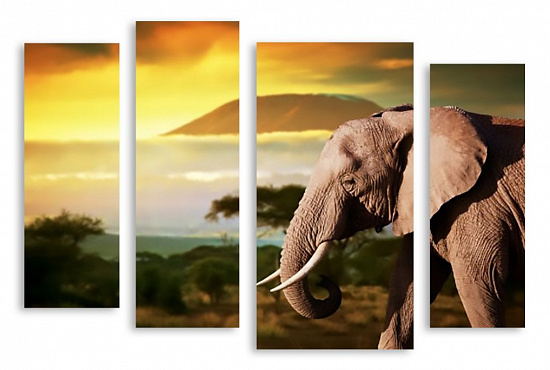 Модульная картина "Слон" интернен-магазин Мнекартину