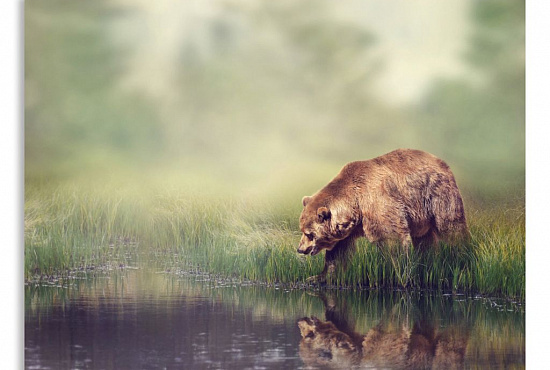 Постер "Медведь" интернен-магазин Мнекартину