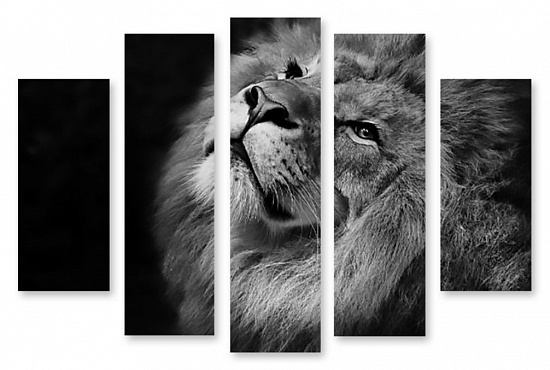 Модульная картина "Чёрно-белый лев" интернен-магазин Мнекартину