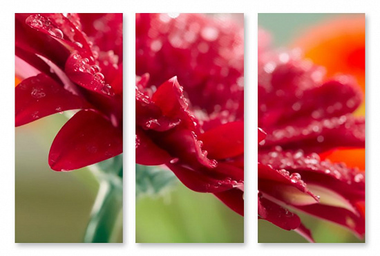 Модульная картина "Красный цветок" интернен-магазин Мнекартину