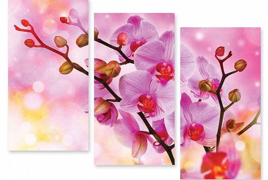 Модульная картина "Сказочные орхидеи" интернен-магазин Мнекартину