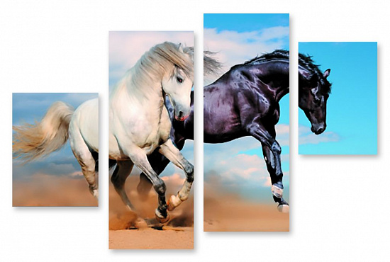 Модульная картина "Черный и белый кони" интернен-магазин Мнекартину