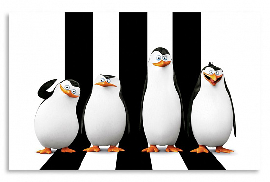 Постер "Пингвины" интернен-магазин Мнекартину