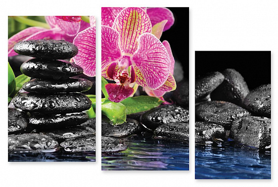 Модульная картина Камни и орхидея" интернен-магазин Мнекартину