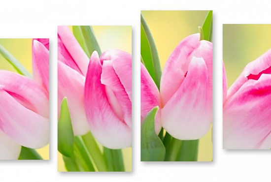 Модульная картина "Розовые тюльпаны" интернен-магазин Мнекартину