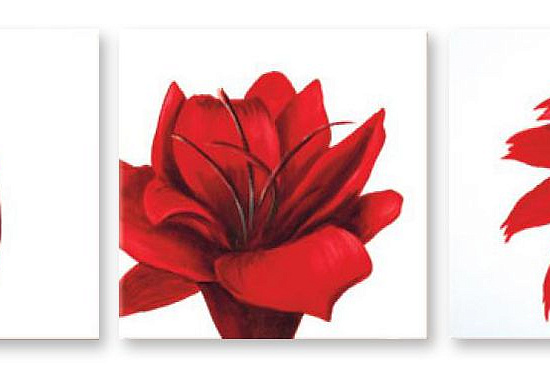 Модульная картина "Красные цветы" интернен-магазин Мнекартину