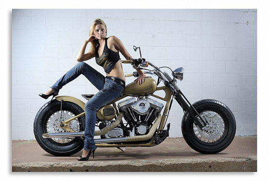 Постер "Девушка на мотоцикле" интернен-магазин Мнекартину