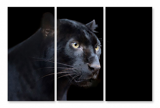 Модульная картина "Черная пантера" интернен-магазин Мнекартину