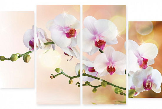 Модульная картина "Орхидеи на воде" интернен-магазин Мнекартину